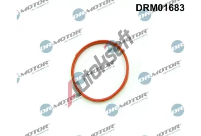 Dr.Motor Automotive Tsnn, hrdlo krtc klapky DMA DRM01683, DRM01683
