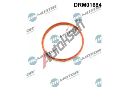 Dr.Motor Automotive Tsnn, hrdlo krtc klapky DMA DRM01684, DRM01684