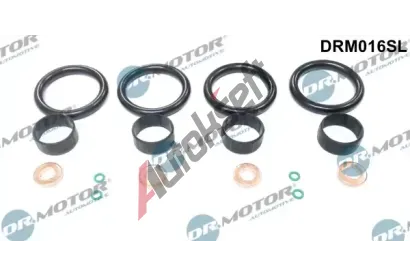 Dr.Motor Automotive Sada tsnn vstikovac trysky DMA DRM016SL, DRM016SL