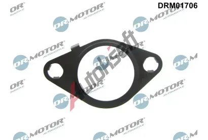 Dr.Motor Automotive Těsnění AGR ventilu DMA DRM01706, DRM01706 Dr.Motor Automotive Těsnění AGR ventilu DMA DRM01706, DRM01706