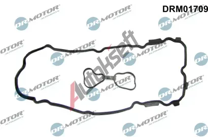 Dr.Motor Automotive T�sn�n� krytu hlavy v�lce DMA DRM01709, DRM01709