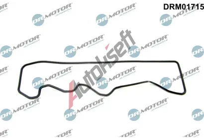 Dr.Motor Automotive T�sn�n� krytu hlavy v�lce DMA DRM01715, DRM01715