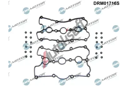 Dr.Motor Automotive Sada tsnn krytu hlavy vlce DMA DRM01716S, DRM01716S