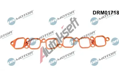 Dr.Motor Automotive Těsnění kolena sacího potrubí DMA DRM01718, DRM01718 Dr.Motor Automotive Těsnění kolena sacího potrubí DMA DRM01718, DRM01718