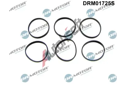 Dr.Motor Automotive Sada těsnění kolena sacího potrubí DMA DRM01725S, DRM01725S Dr.Motor Automotive Sada těsnění kolena sacího potrubí DMA DRM01725S, DRM01725S