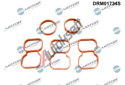Dr.Motor Automotive Těsnění hlavy válce DMA DRM01734S, DRM01734S Dr.Motor Automotive Těsnění hlavy válce DMA DRM01734S, DRM01734S