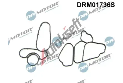 Dr.Motor Automotive Sada t�sn�n� chladi�e oleje DMA DRM01736S, DRM01736S