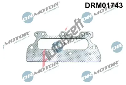 Dr.Motor Automotive Těsnění kolektoru výfukových plynů DMA DRM01743, DRM01743 Dr.Motor Automotive Těsnění kolektoru výfukových plynů DMA DRM01743, DRM01743