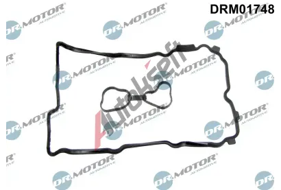 Dr.Motor Automotive T�sn�n� krytu hlavy v�lce DMA DRM01748, DRM01748