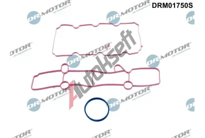 Dr.Motor Automotive Sada tsnn kolena sacho potrub DMA DRM01750S, DRM01750S