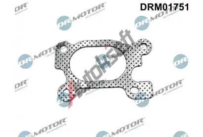 Dr.Motor Automotive Těsnění kolektoru výfukových plynů DMA DRM01751, DRM01751 Dr.Motor Automotive Těsnění kolektoru výfukových plynů DMA DRM01751, DRM01751