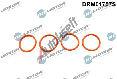 Dr.Motor Automotive Sada těsnění kolena sacího potrubí DMA DRM01757S, DRM01757S Dr.Motor Automotive Sada těsnění kolena sacího potrubí DMA DRM01757S, DRM01757S