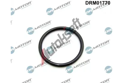 Dr.Motor Automotive Tsnn kolena sacho potrub DMA DRM01770, DRM01770