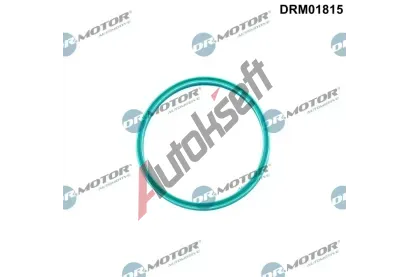 Dr.Motor Automotive Těsnicí kroužek hadice plnicího vzduchu DMA DRM01815, DRM01815 Dr.Motor Automotive Těsnicí kroužek hadice plnicího vzduchu DMA DRM01815, DRM01815