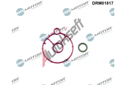 Dr.Motor Automotive Sada tsnn chladie oleje DMA DRM01817, DRM01817