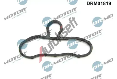 Dr.Motor Automotive Tsnn krytu rozvodovho stroj DMA DRM01819, DRM01819