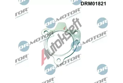Dr.Motor Automotive Těsnění výfukové trubky DMA DRM01821, DRM01821 Dr.Motor Automotive Těsnění výfukové trubky DMA DRM01821, DRM01821