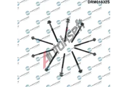 Dr.Motor Automotive Sada roub pro hlavy vlc DMA DRM01832S, DRM01832S