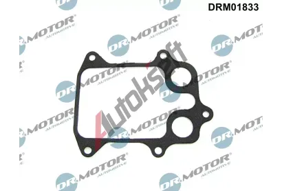Dr.Motor Automotive Těsnění chladiče oleje DMA DRM01833, DRM01833 Dr.Motor Automotive Těsnění chladiče oleje DMA DRM01833, DRM01833