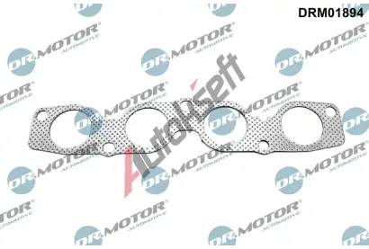 Dr.Motor Automotive Tsnn kolektoru vfukovch plyn DMA DRM01894, DRM01894