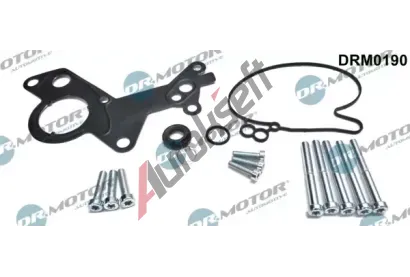 Dr.Motor Automotive Opravn sada podtlakov pumpy (brzdov soustava) DMA DRM0190, DRM0190
