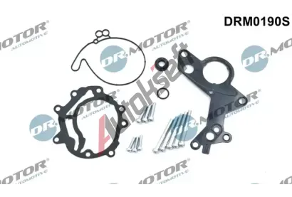 Dr.Motor Automotive Opravná sada podtlakové pumpy (brzdová soustava) DMA DRM0190S, DRM0190S Dr.Motor Automotive Opravná sada podtlakové pumpy (brzdová soustava) DMA DRM0190S, DRM0190S