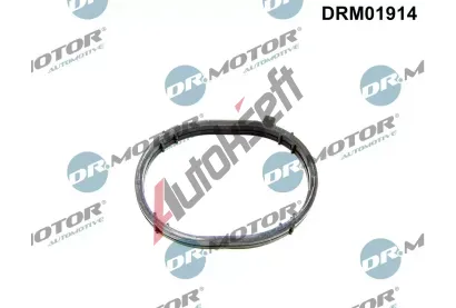 Dr.Motor Automotive Těsnění kolena sacího potrubí DMA DRM01914, DRM01914 Dr.Motor Automotive Těsnění kolena sacího potrubí DMA DRM01914, DRM01914