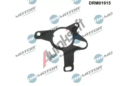 Dr.Motor Automotive Tsnn vakuovho erpadla DMA DRM01915, DRM01915