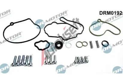 Dr.Motor Automotive Opravná sada podtlakové pumpy (brzdová soustava) DMA DRM0192, DRM0192 Dr.Motor Automotive Opravná sada podtlakové pumpy (brzdová soustava) DMA DRM0192, DRM0192
