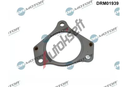 Dr.Motor Automotive Těsnění výfukové trubky DMA DRM01939, DRM01939 Dr.Motor Automotive Těsnění výfukové trubky DMA DRM01939, DRM01939