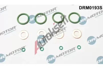 Dr.Motor Automotive Sada těsnění vstřikovací trysky DMA DRM0193S, DRM0193S Dr.Motor Automotive Sada těsnění vstřikovací trysky DMA DRM0193S, DRM0193S