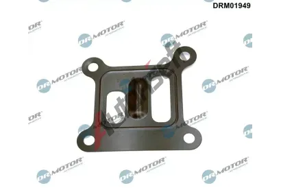 Dr.Motor Automotive Tsnn vodnho erpadla DMA DRM01949, DRM01949
