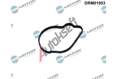 Dr.Motor Automotive Tsnn vstikovacho erpadla DMA DRM01953, DRM01953