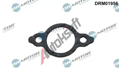 Dr.Motor Automotive Těsnění vedení AGR ventilu DMA DRM01956, DRM01956 Dr.Motor Automotive Těsnění vedení AGR ventilu DMA DRM01956, DRM01956