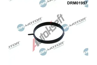 Dr.Motor Automotive Tsnn, hrdlo krtc klapky DMA DRM01957, DRM01957