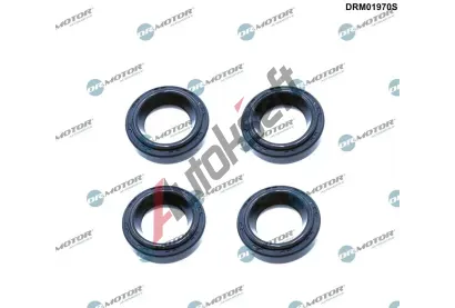 Dr.Motor Automotive Tsnic krouek achty svky DMA DRM01970S, DRM01970S
