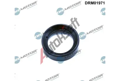 Dr.Motor Automotive Tsnn krytu hlavy vlce DMA DRM01971, DRM01971