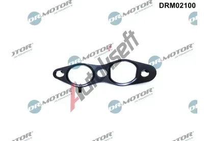 Dr.Motor Automotive Tsnn AGR ventilu DMA DRM02100, DRM02100