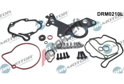 Dr.Motor Automotive Opravn sada podtlakov pumpy (brzdov soustava) DMA DRM0210L, DRM0210L