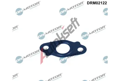 Dr.Motor Automotive Těsnění výpusti oleje DMA DRM02122, DRM02122 Dr.Motor Automotive Těsnění výpusti oleje DMA DRM02122, DRM02122
