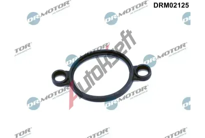 Dr.Motor Automotive Těsnění, stav.element (Excentr.hřídel) DMA DRM02125, DRM02125 Dr.Motor Automotive Těsnění, stav.element (Excentr.hřídel) DMA DRM02125, DRM02125