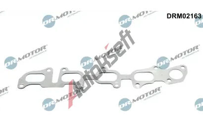 Dr.Motor Automotive Tsnn kolektoru vfukovch plyn DMA DRM02163, DRM02163