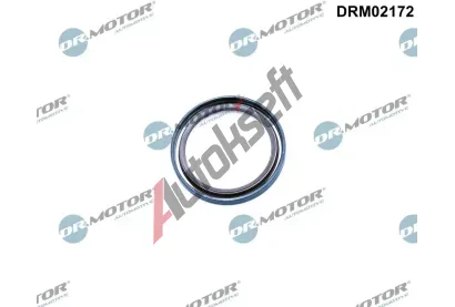 Dr.Motor Automotive Tsnic krouek klikovho hdele DMA DRM02172, DRM02172