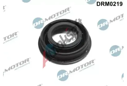 Dr.Motor Automotive Těsnění držáku trysky DMA DRM0219, DRM0219 Dr.Motor Automotive Těsnění držáku trysky DMA DRM0219, DRM0219