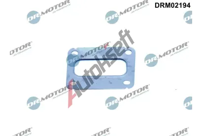 Dr.Motor Automotive Těsnění kolektoru výfukových plynů DMA DRM02194, DRM02194 Dr.Motor Automotive Těsnění kolektoru výfukových plynů DMA DRM02194, DRM02194