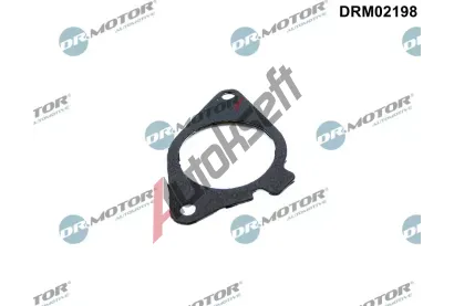 Dr.Motor Automotive Tsnn AGR ventilu DMA DRM02198, DRM02198