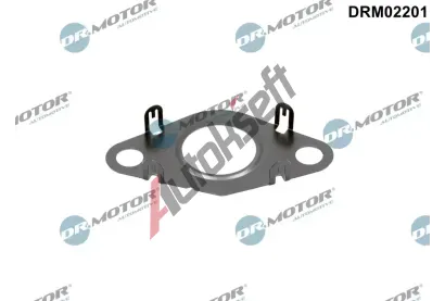 Dr.Motor Automotive Těsnění vedení AGR ventilu DMA DRM02201, DRM02201 Dr.Motor Automotive Těsnění vedení AGR ventilu DMA DRM02201, DRM02201