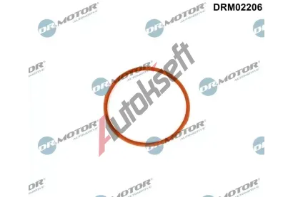Dr.Motor Automotive Těsnění, hrdlo škrtící klapky DMA DRM02206, DRM02206 Dr.Motor Automotive Těsnění, hrdlo škrtící klapky DMA DRM02206, DRM02206