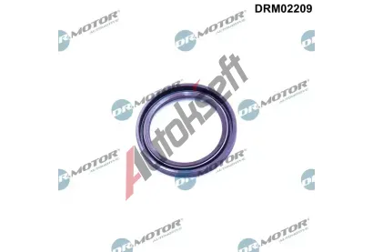 Dr.Motor Automotive Těsnicí kroužek klikového hřídele DMA DRM02209, DRM02209 Dr.Motor Automotive Těsnicí kroužek klikového hřídele DMA DRM02209, DRM02209