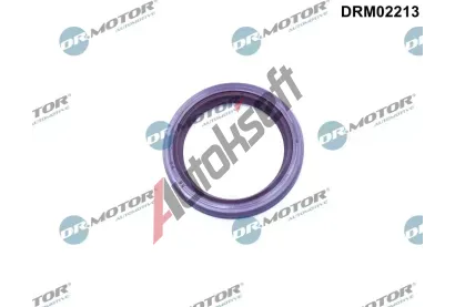 Dr.Motor Automotive Těsnicí kroužek vačkového hřídele DMA DRM02213, DRM02213 Dr.Motor Automotive Těsnicí kroužek vačkového hřídele DMA DRM02213, DRM02213